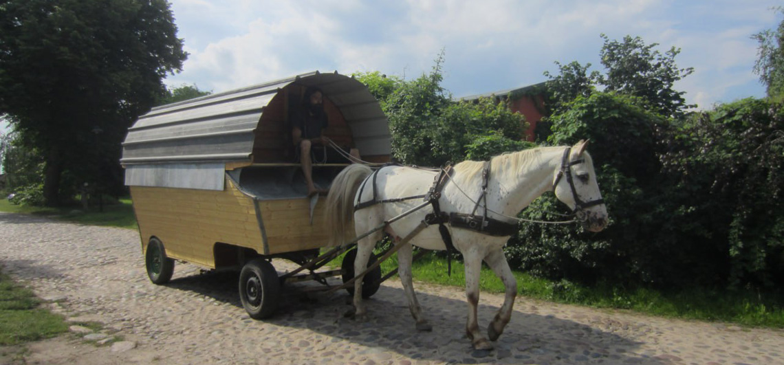 Urlaub am Müritz Nationalpark
